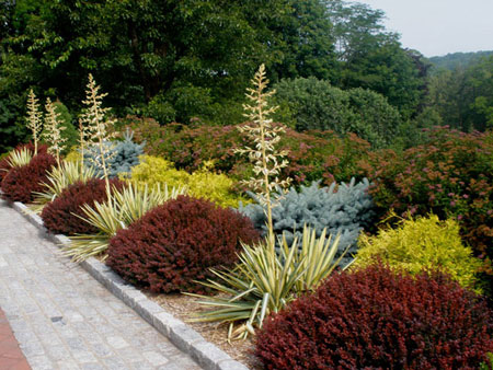 Formal Gardens in Summer