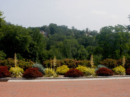 Formal Gardens in Summer