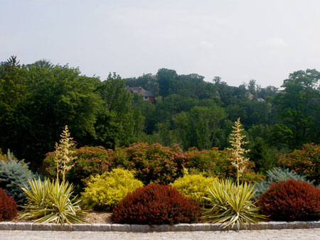 Formal Gardens in Summer