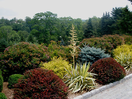 Formal Gardens in Summer