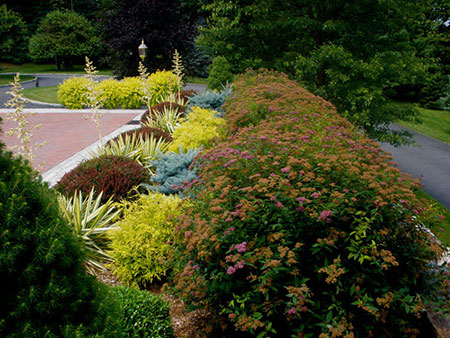 Formal Gardens in Summer