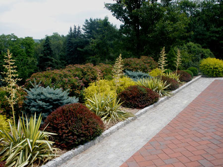 Formal Gardens in Summer