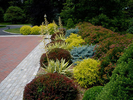 Formal Gardens in Summer