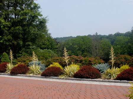 Formal Gardens in Summer