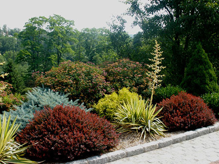 Formal Gardens in Summer