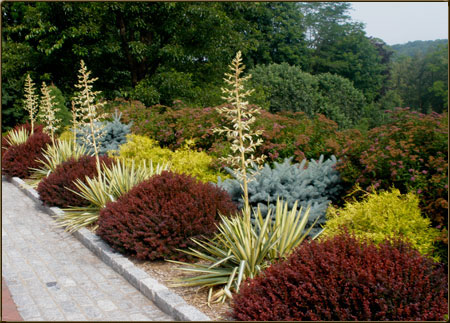 Formal Garden in Summer