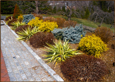 Formal Garden in Winter