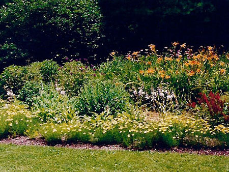 Perennial Gardens