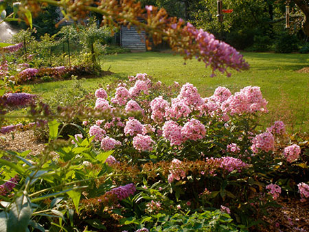 Perennial Gardens