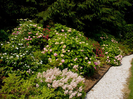 Residential Gardens