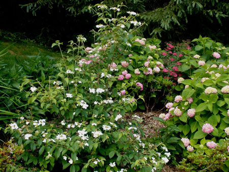 Residential Gardens