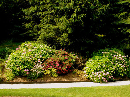 Residential Gardens