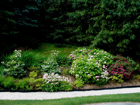 Residential Gardens