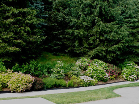 Residential Gardens