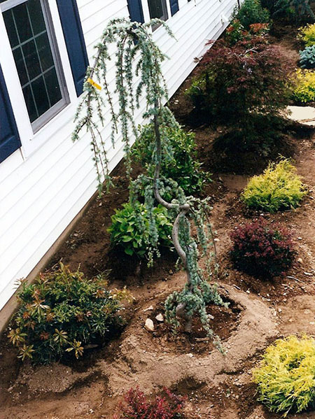 Residential Gardens