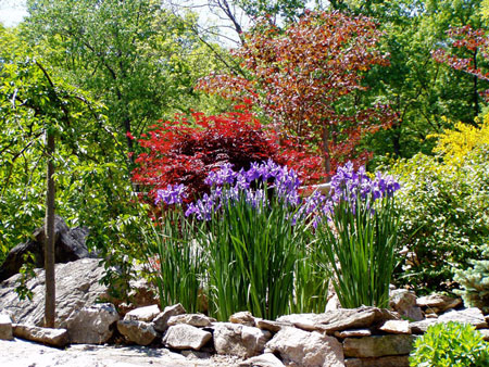 Rock Gardens