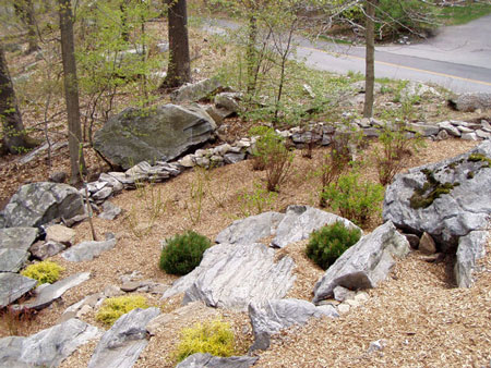 Rock Gardens